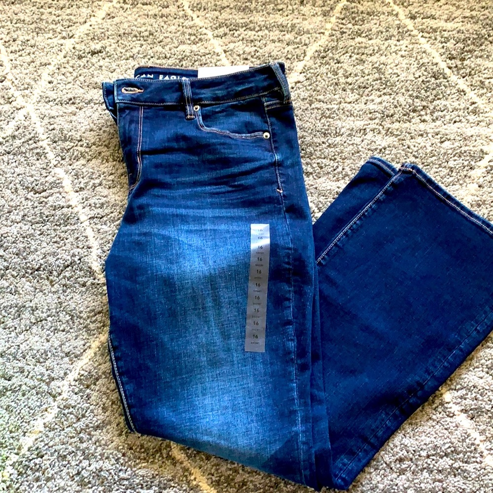 American Eagle Skinny Kick Short Jean